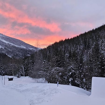 Bouda Bile Labe Hotel Špindlerŭv Mlýn Exterior foto